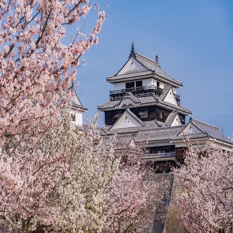 NHẬT BẢN: DU XUÂN XỨ PHÙ TANG - MATSUYAMA