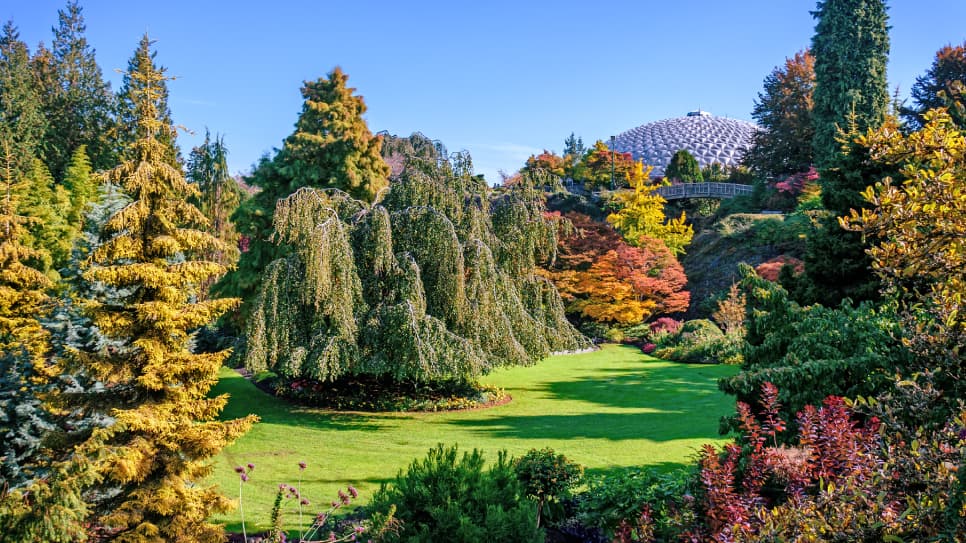 Queen Elizabeth Park