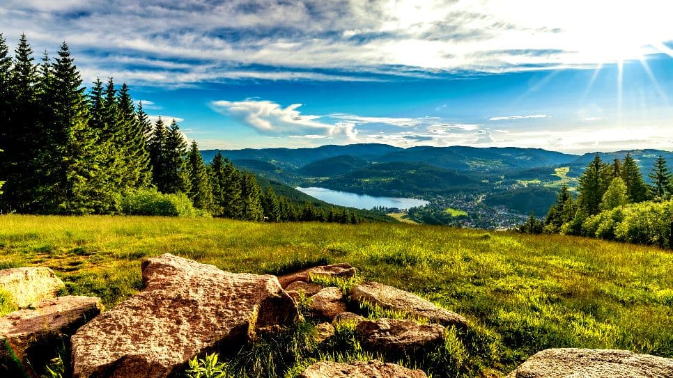 Rừng Đen Black Forest