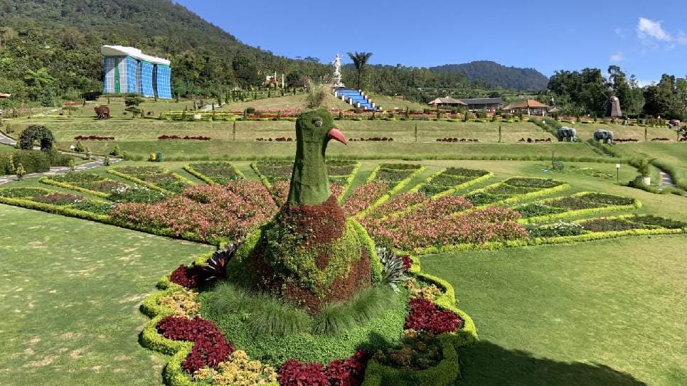 The Blooms Garden