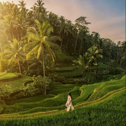 BALI: KHÁM PHÁ KỲ QUAN THIÊN NHIÊN TEGALALANG