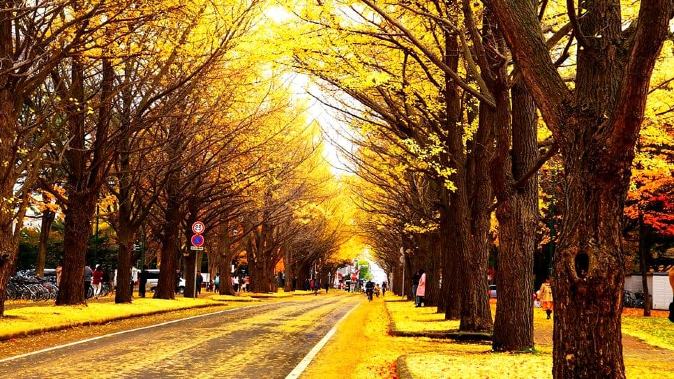 Đại học Hokkaido
