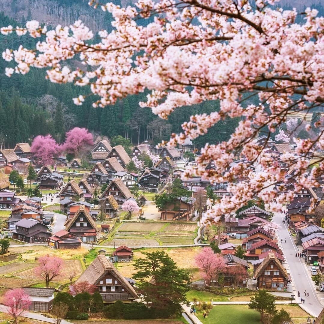 NHẬT BẢN: KHÁM PHÁ LÀNG CỔ SHIRAKAWAGO