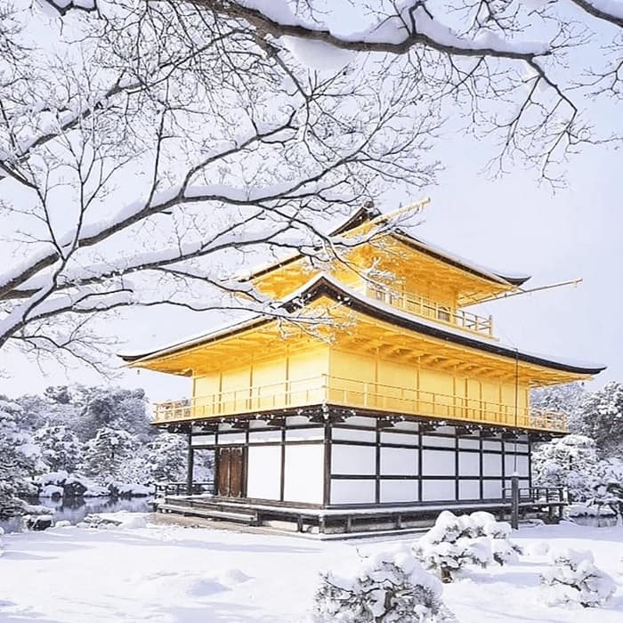 NHẬT BẢN: XUÂN VỀ TRONG TUYẾT TRẮNG OSAKA - TOKYO