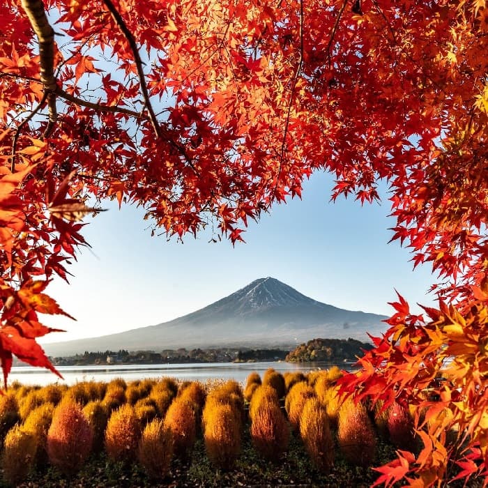 NHẬT BẢN: SẮC THU CUNG ĐƯỜNG VÀNG OSAKA - TOKYO