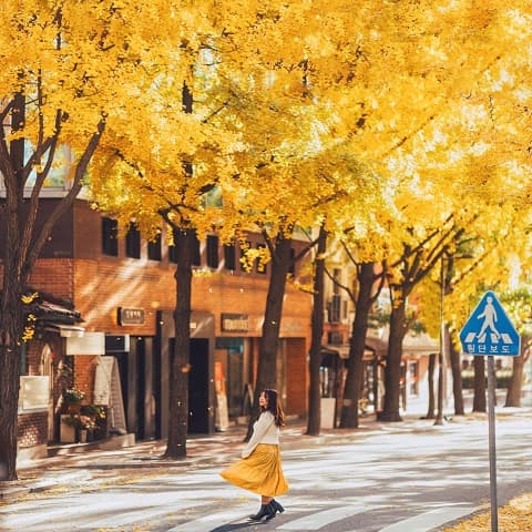 HÀN QUỐC MÙA THU: GÕ NHỊP KÝ ỨC SEOUL - NAMI