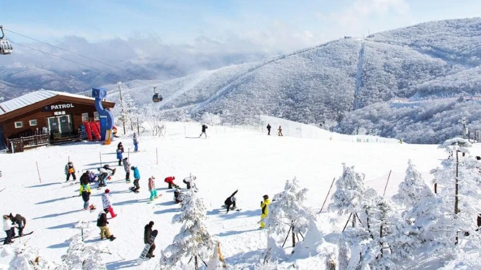Trượt tuyết tại Gangwon-do