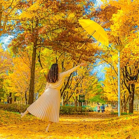 HÀN QUỐC: MÙA THU LÃNG MẠN TẠI SEOUL