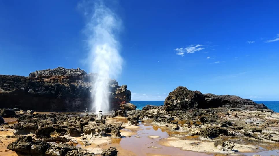 Lỗ phun nước “Blowhole”