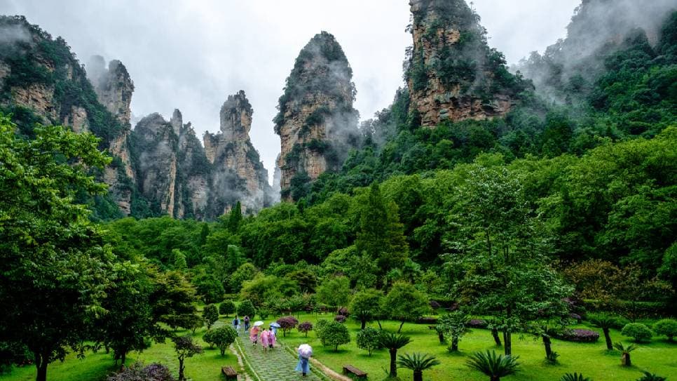  Hậu hoa viên Trương Gia Giới