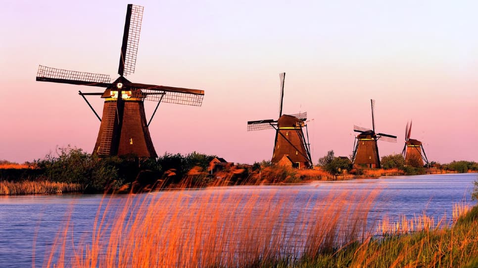 Khung cảnh cứ ngỡ trong mơ mà hóa ra có thật ở làng cối xay gió Zaanse Schans, Hà Lan