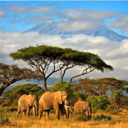 KENYA: BĂNG QUA THẢO NGUYÊN BAO LA MÙA THÚ DI CƯ