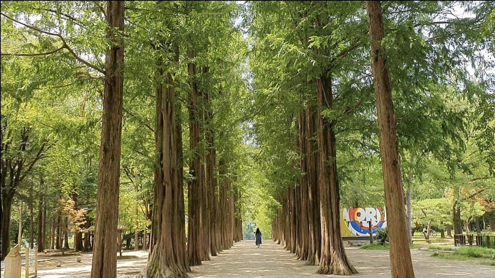 Đảo Nami