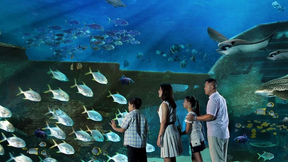 S.E.A Aquarium