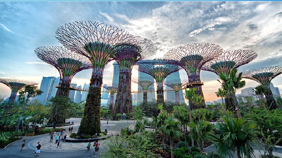 Gardens By The Bay