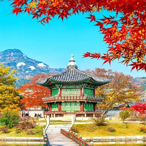 HÀN QUỐC: ĐÓN MÙA THAY LÁ BUSAN - NAMI