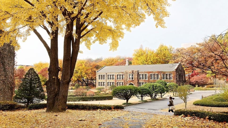 Đại học Yonsei