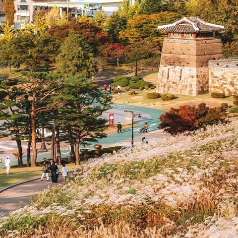 HÀN QUỐC: HẸN ƯỚC MÙA THU SEOUL - NAMI