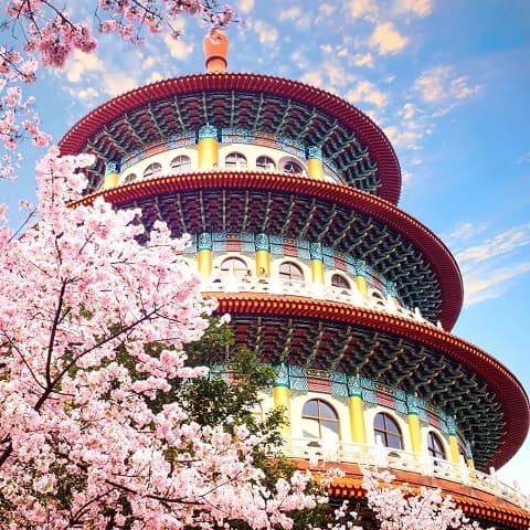 TOUR ĐÀI LOAN: MÙA HOA ANH ĐÀO NGỌT NGÀO