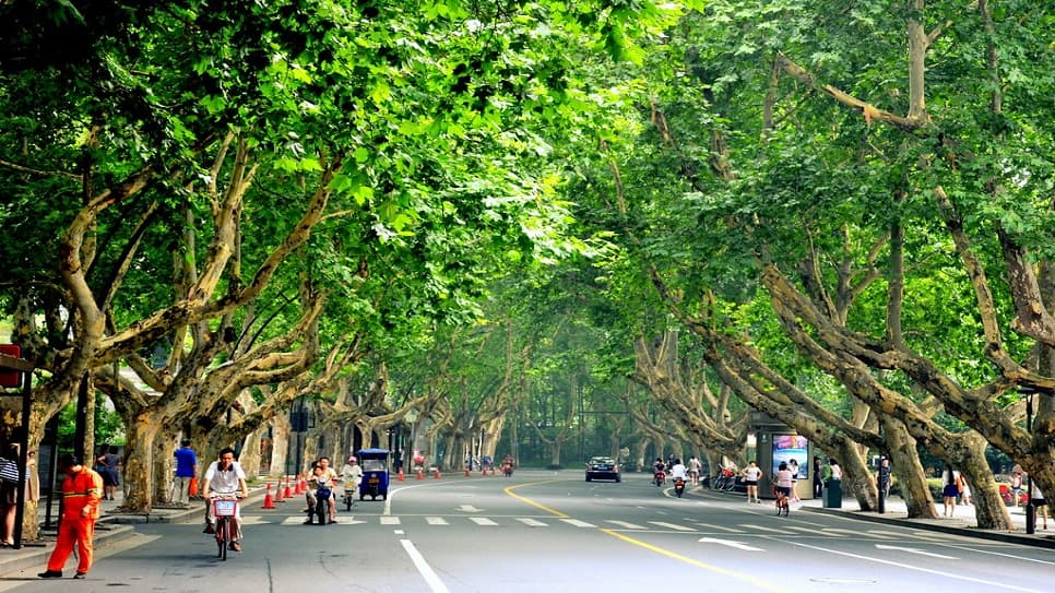 Đại lộ Nam Sơn