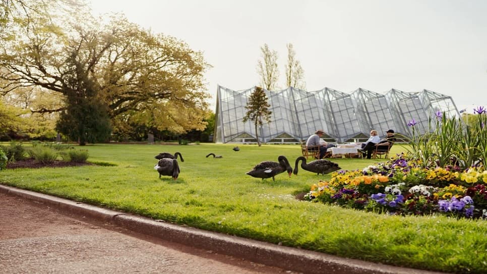 Khám phá thế giới động vật tại Ballarat Botanical Gardens