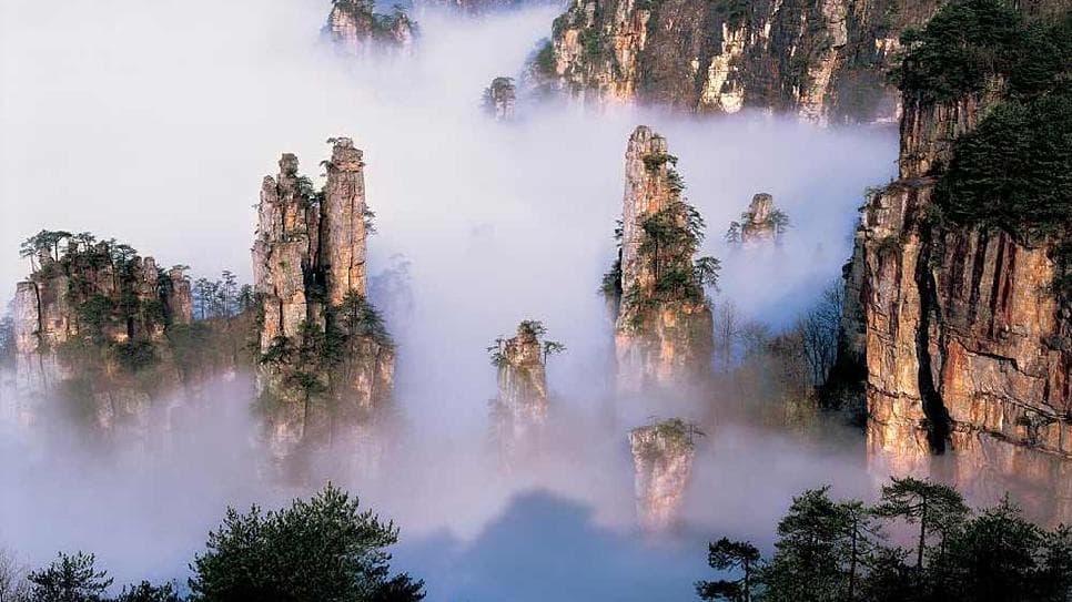 Dương Gia Giới