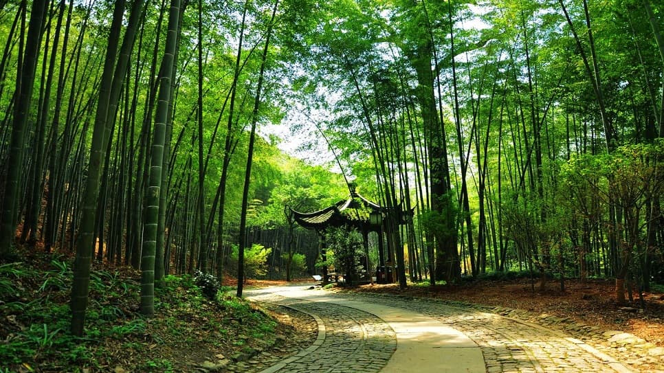 Khu thắng cảnh Vân Khê Trúc Kính