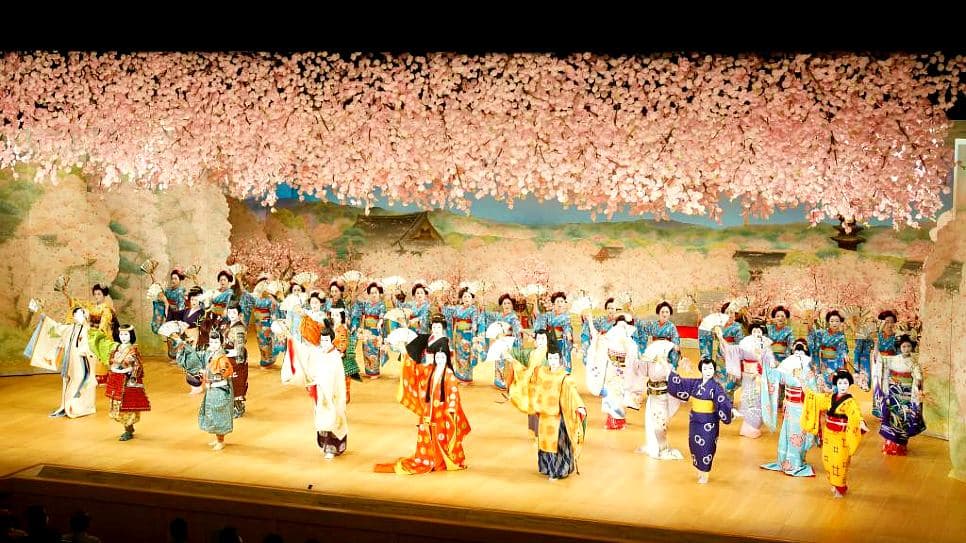 Geisha show