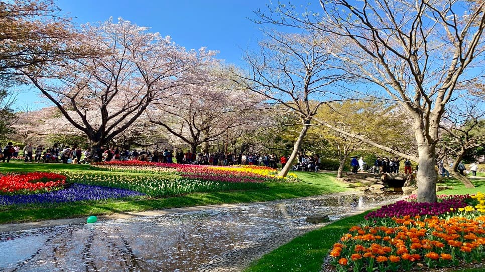 Công viên Showa Kinen