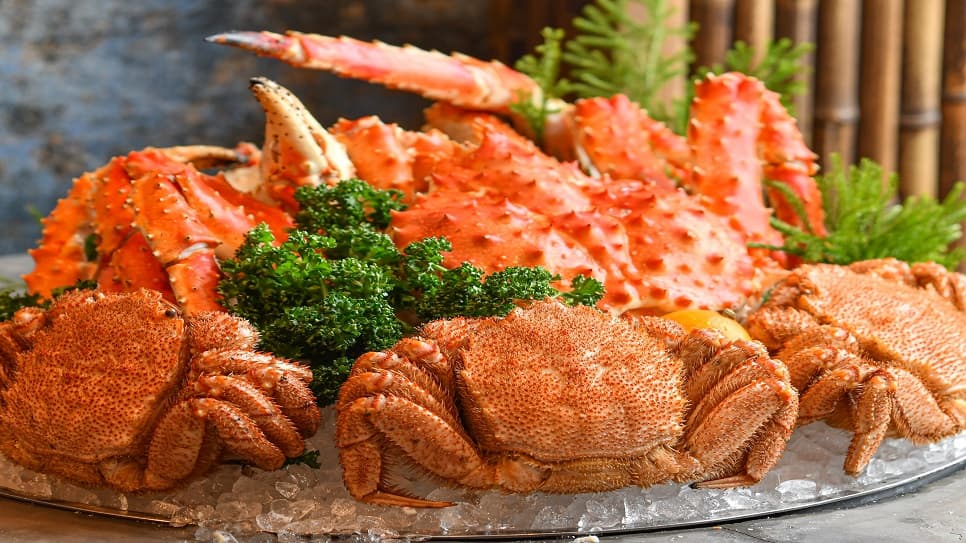 Các món cua Hokkaido – biểu tượng ẩm thực của vùng đất phương Bắc