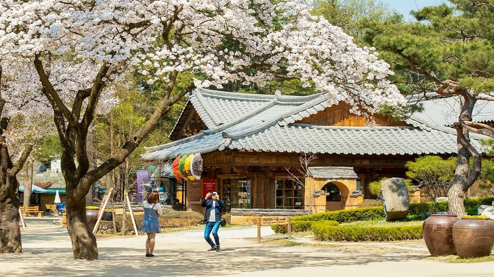 Đảo Nami vào mùa xuân