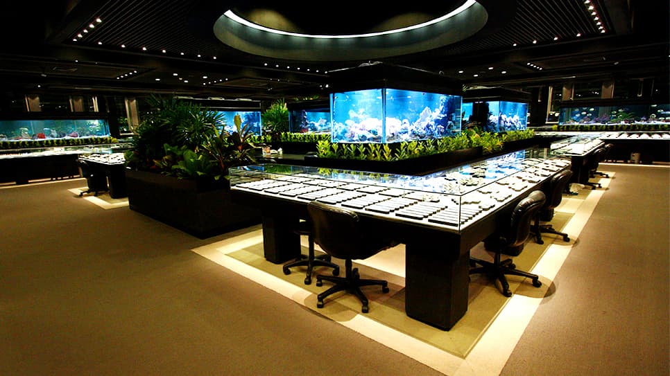World Gems Collection