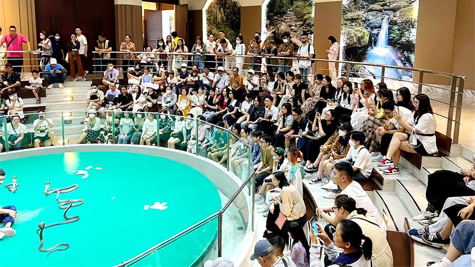 Trại rắn Thái Lan