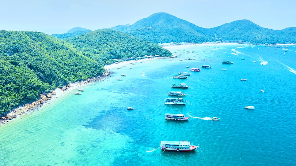 Đảo San Hô - Coral Island