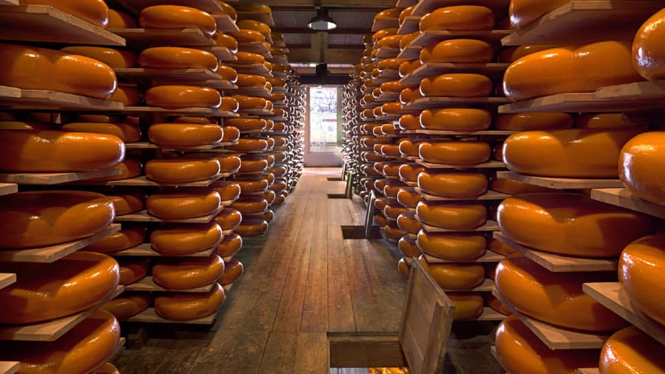 Nông trại Phô mai Catharina Hoeve